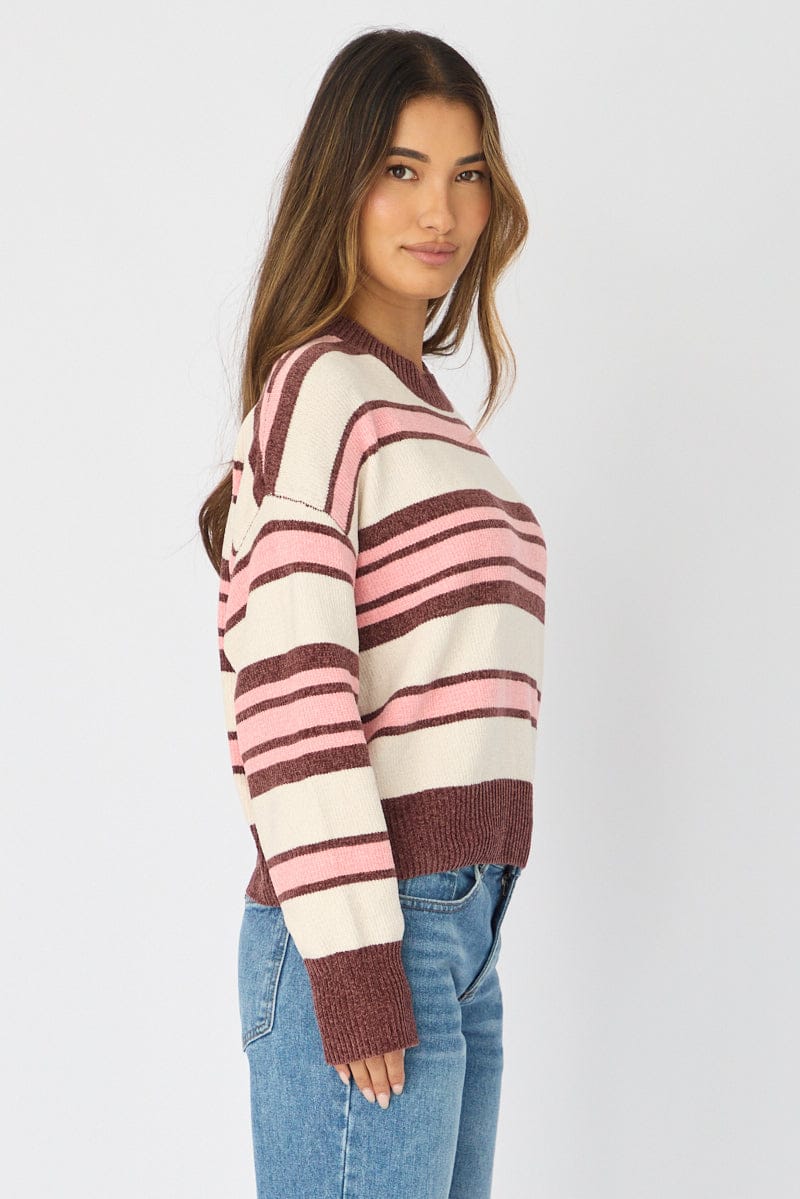 Brown Stripe Chenille Stripe Knit Sweater